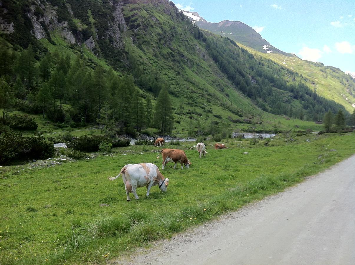 Scol Sporthotel Grossglockner Kals-am Großglockner Kültér fotó